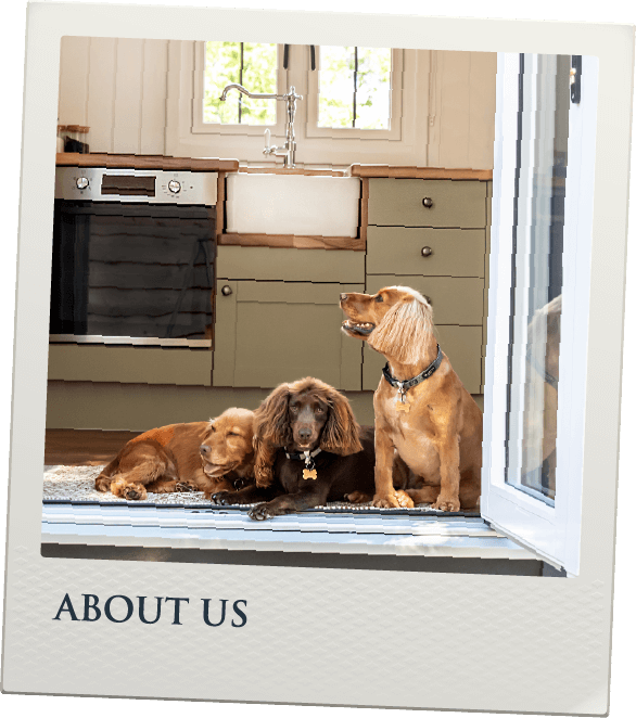 About Us